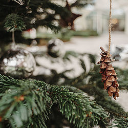 Weihnachten im DAZUMAL Bad Tatzmannsdorf